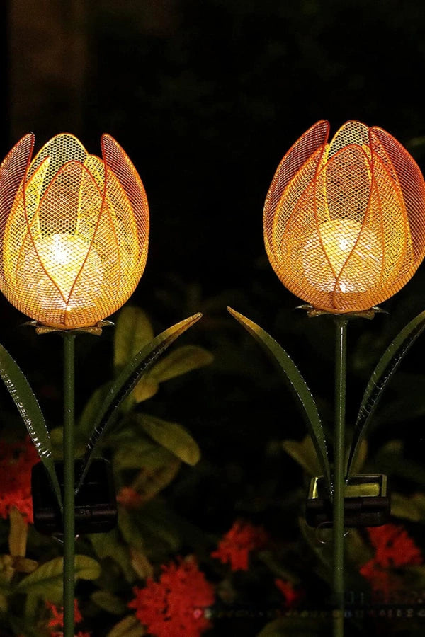 Tulpenlicht