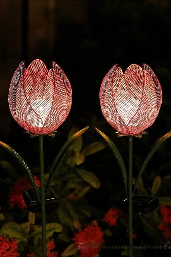 Tulpenlicht