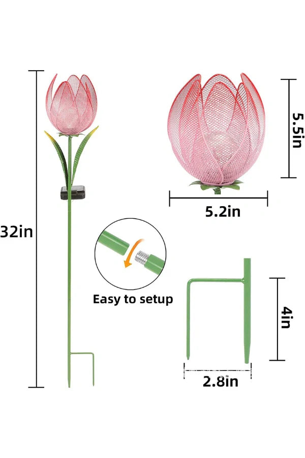 Tulpenlicht