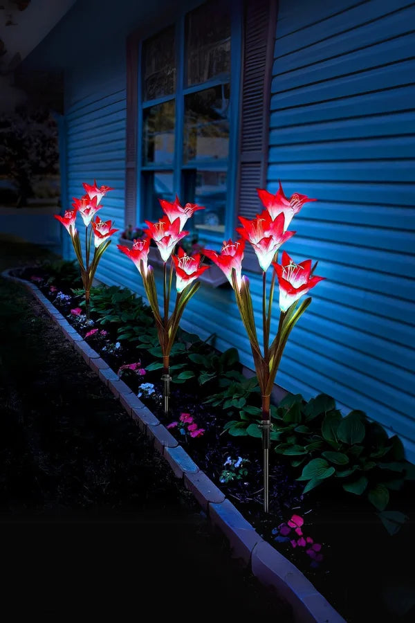Eklipseblüte