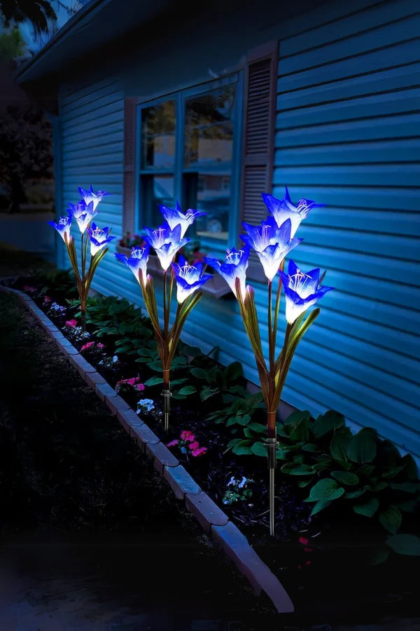 Eklipseblüte