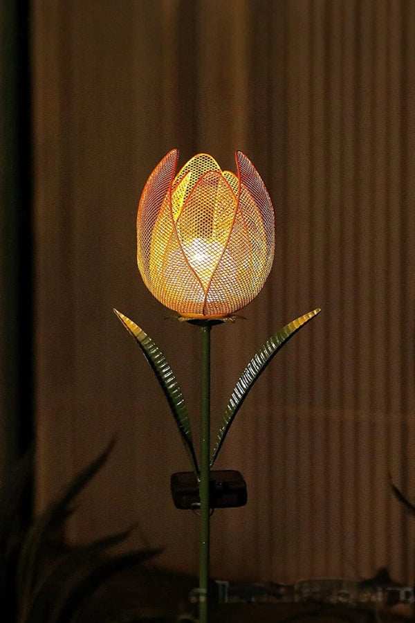 Tulpenlicht
